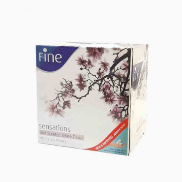 FINE OUD FACIAL TISSUE 100X2PLY 0