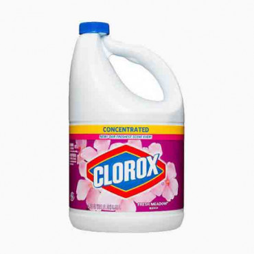 CLOROX FRESH MEDOW 1/2GAL 0