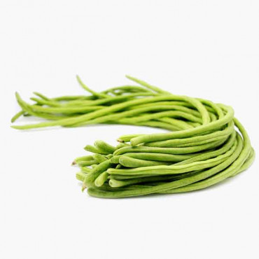 LONG BEANS KG فاصوليا طويل