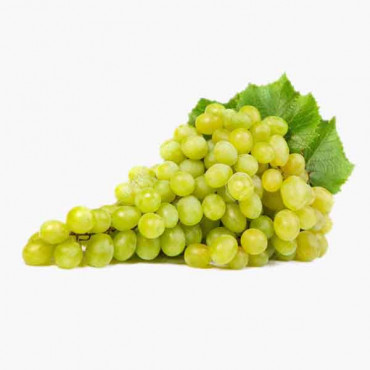 GRAPE WHITE عنب ابيض