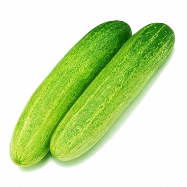 CUCUMBER BANGLA